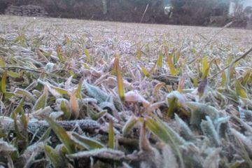 Ketika suhu di Dataran Tinggi Dieng capai minus 1 derajat celsius.