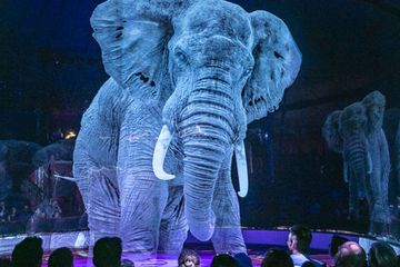 Jaga Kesejahteraan Hewan Sirkus Ini Hanya Gunakan Hologram Dalam Atraksi Semua Halaman National Geographic