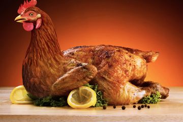 Berita Kesehatan Populer Hari Ini: Daging Ayam Penyebab Wabah Penyakit Mematikan, dan Cara Mudah Deteksi Racun di Tubuh