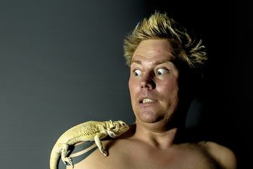 Makna Mitos Kejatuhan Kotoran Cicak Menurut Primbon Jawa Benarkah Pertanda Tertimpa Kesialan Semua Halaman Suar