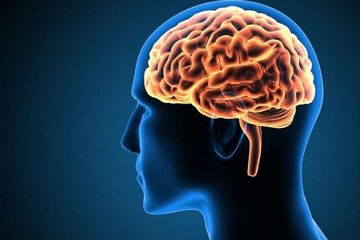 Penyakit infeksi Meningococcal disease bisa menyebabkan gangguan pada otak.