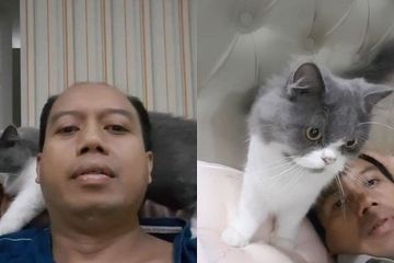 Sutopo Purwo Nugroho si Pussy Mozza