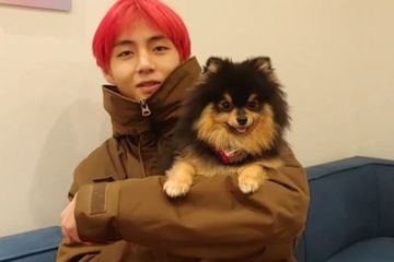 Gambar Hewan Zodiak Virgo