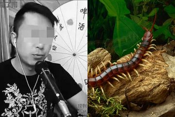 Ngeri! Sanggupi Tantangan Makan Kelabang dan Tokek Mentah-mentah, Vlogger Ini Tewas Saat Live