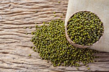 Kacang hijau memiliki banyak manfaat untuk pengobatan.
