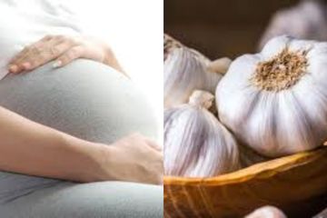 Meski Dibatasi Jangan Ragu Makan Bawang Putih Saat Hamil Salah Satu Manfaatnya Bisa Cegah Preeklampsia Semua Halaman Intisari