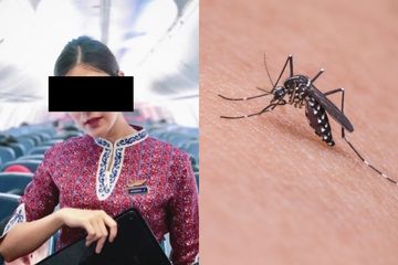Seorang pramugari Thai Lion Air  dilaporkan tewas usai 3 hari sebelumnya mendapat gigitan nyamuk dan mengalami gagal organ hingga pendarahan internal.