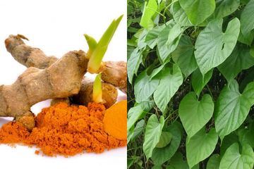 4 Jenis Pengobatan Tradisional Kanker Payudara yang Bisa Dilakukan