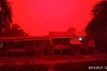 Pukul 12 Siang Langit Jambi Menjadi Merah, Inilah Racun Kimia Asap Karhutla yang Sedang Terjadi di Sumatera