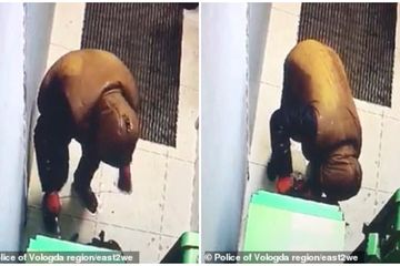 Pencuri Tolol Ia Tewas Saat Bobol Mesin Atm Akibat Melakukan Kecerobohan Ini Semua Halaman Sosok
