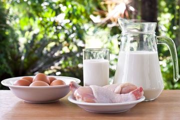 Protein, salah satu nutrisi yang amat penting untuk anak stunting
