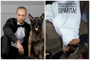 Anjing Sparta meninggal dunia