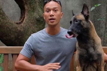 Anjing Milik Bimo Aryo Yang Mati Di Karantina Ternyata Satu Ras