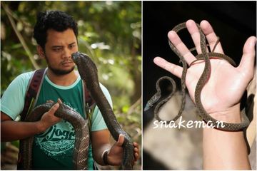 Sejak Kecil Tidur Dan Mandi Bersama Hewan Reptil Kini Pandji