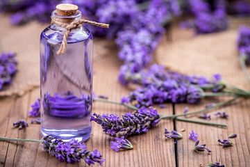 5 Alasan Wanita Wajib Menggunakan Minyak Lavender, Mencerahkan Kulit