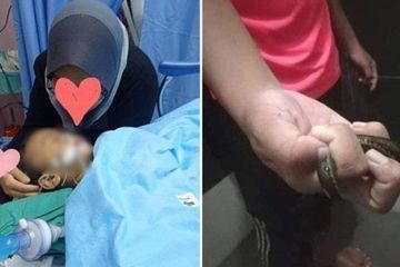 Bocah Ini Hampir Meninggal Gegara Kehabisan Darah Ternyata Ada