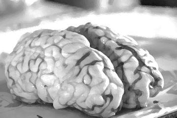 Berita Zombi Terbaru Hari Ini Tak Bisa Berbahasa Inggris Pria Ini Nekat Penggal Kepala Wanita Dan Makan Otaknya Mirip Zombi