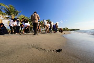 Ingatkan Fungsi Deklarasi Juanda Yang Menyatukan Negara Kepulauan Kita Selayar Bagikan Pesan Penting Dalam Perayaan Hari Nusantara Semua Halaman National Geographic