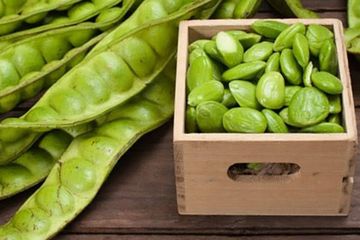 Jangan Lagi Buang Kulit Petai Mulai Sekarang Ternyata Manfaatnya Luar Biasa Bisa Obati Diabetes Hingga Asam Urat Semua Halaman Sajian Sedap