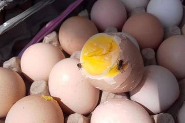Kue busuk sekarang digunakan pabrik kue sebagai bahan dasar. 