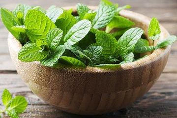 Konsumsi daun mint bermanfaat bagi kesehatan.