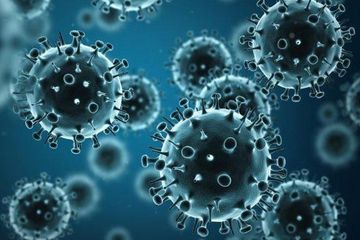 Ilustrasi virus corona.