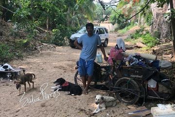 Naik Gerobak Pria Ini Keliling Negaranya Untuk Selamatkan Anjing