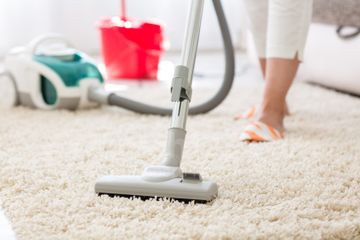 Kutu di rumah dapat membawa penyakit, oleh sebab itu bersihkan secara menyeluruh dengan seksama, gunakan alat pengisap debu.
