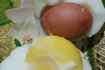 Telur berisi telur yang viral di medsos.