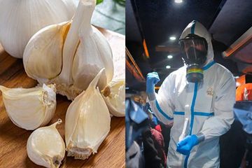 Menddak harga bawang putih meroket. Tembus Hampir Rp.50 Ribu! 