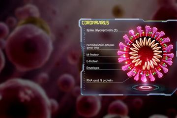Keanehan virus corona karena ada semacam struktur buatan yang ditempelkan.