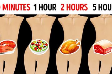 Sering Dilakukan Jangan Lagi Makan Daging Tanpa Sayuran Ini Efek Buruknya Yang Akan Terjadi Pada Tubuh Semua Halaman Nakita