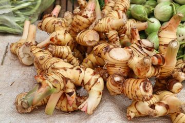 Cara membuat obat asam lambung dari kencur