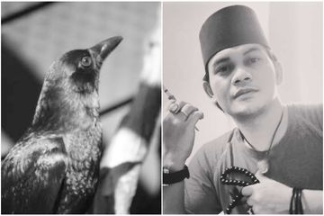 Burung Gagak Serbu Kota Wuhan Mbah Mijan Beri Penerawangan