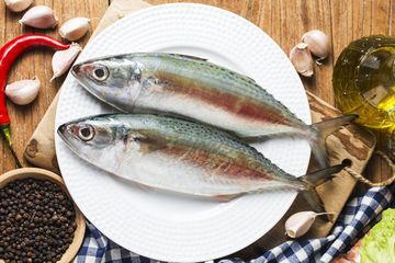 Ikan pengganti ikan salmon yang mudah ditemui di Indonesia