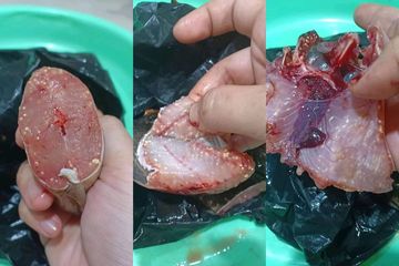 Ramai Larangan Makan Ikan Lele dengan Bintik Putih, Dokter Hewan: Masih Bisa Dikonsumsi dengan Satu Syarat
