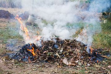 Masih Membakar  Sampah di Halaman Rumah? Ini Risiko Kesehatan yang Bakal Terjadi