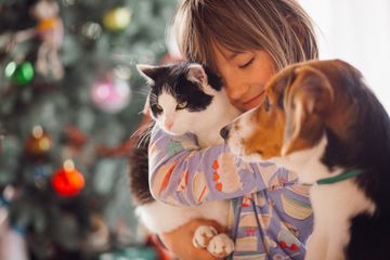 Virus corona dalam tubuh anjing dan kucing di Indonesia