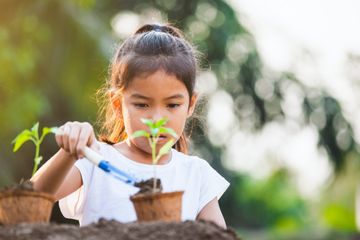 Ilustrasi berkebun