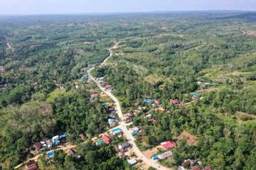 Calon ibukota negara baru Penajam Paser Utara di Kalimantan Timur yang kini sedang waspada malaria.