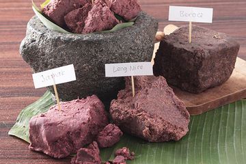 Terasi Seperti Ini Jangan Dipilih, Membunuh Secara Perlahan dengan Memunculkan Penyakit Mengerikan