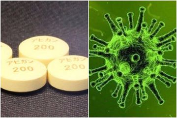 Update Covid-19; 11 Obat yang Bisa Menyembuhkan Infeksi Corona dan Fakta Terbarunya