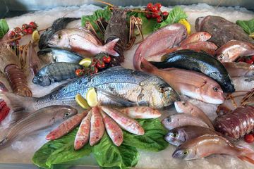 Cara Menyimpan Stok Seafood di Rumah Anti Busuk dan Bau Amis, Bisa Dalam Waktu Lama