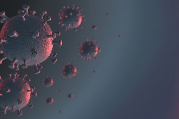 virus corona di Indonesia berakhir bulan Juli atau Agustus