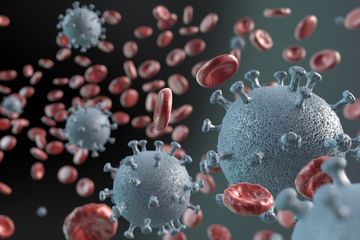 Virus corona dapat tidur dalam tubuh selama puluhan tahun