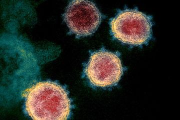 Berita Penyebaran Virus Corona Terbaru Hari Ini National Geographic<script async src=
