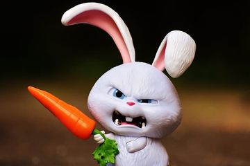 Gampang Emosi Dan Mudah Marah Marah Coba Cegah Kebiasaan Tersebut Dengan Mengonsumsi Makanan Ini Semua Halaman Kids