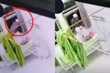 Pasien Positif Covid-19 Kena Denda 49 Juta, Tertangkap CCTV Bertandang ke Kamar Sebelah di Tempat Karantina