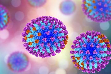 Virus