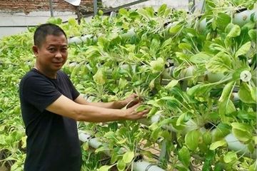 Dulu Punya Prestasi Mentereng Hingga Fotonya Jadi Viral Mantan Menteri Jokowi Ini Jadi Petani Sayur Di Antara Hutan Beton Jakarta Sebentar Lagi Duduki Posisi Bergengsi Di Perusahaan Mutinasional Semua Halaman Fotokita